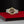 【正規販売】TUDOR ROYAL