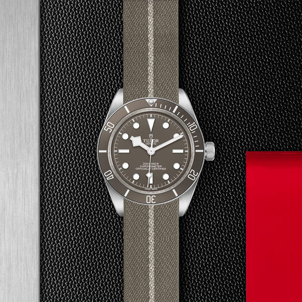 【正規販売】BLACK BAY 58 925