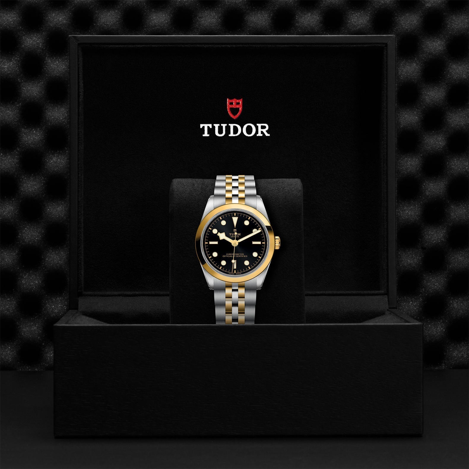 BLACK BAY 36 S&G M79643-0001 | TUDOR BOUTIQUE 渋谷 by TOHO