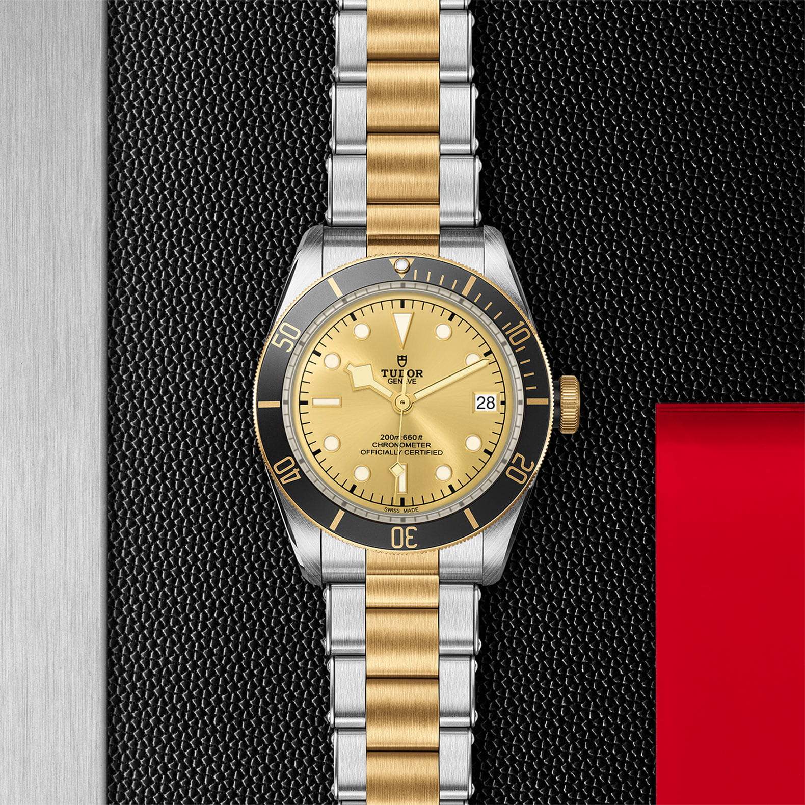 BLACK BAY 値下げ Tudor チュードル M79733N-0004 Black Bay S&G