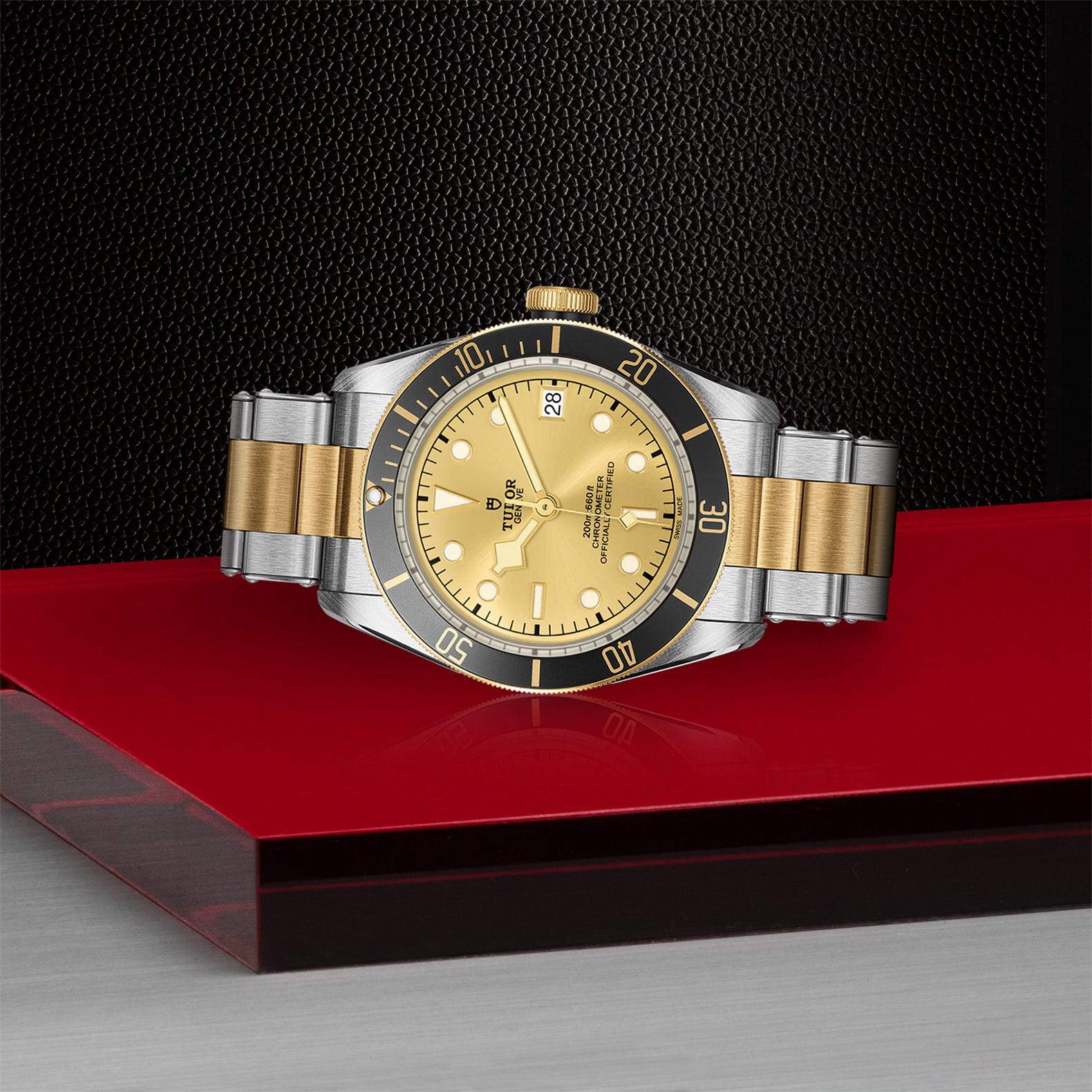 BLACK BAY 値下げ Tudor チュードル M79733N-0004 Black Bay S&G