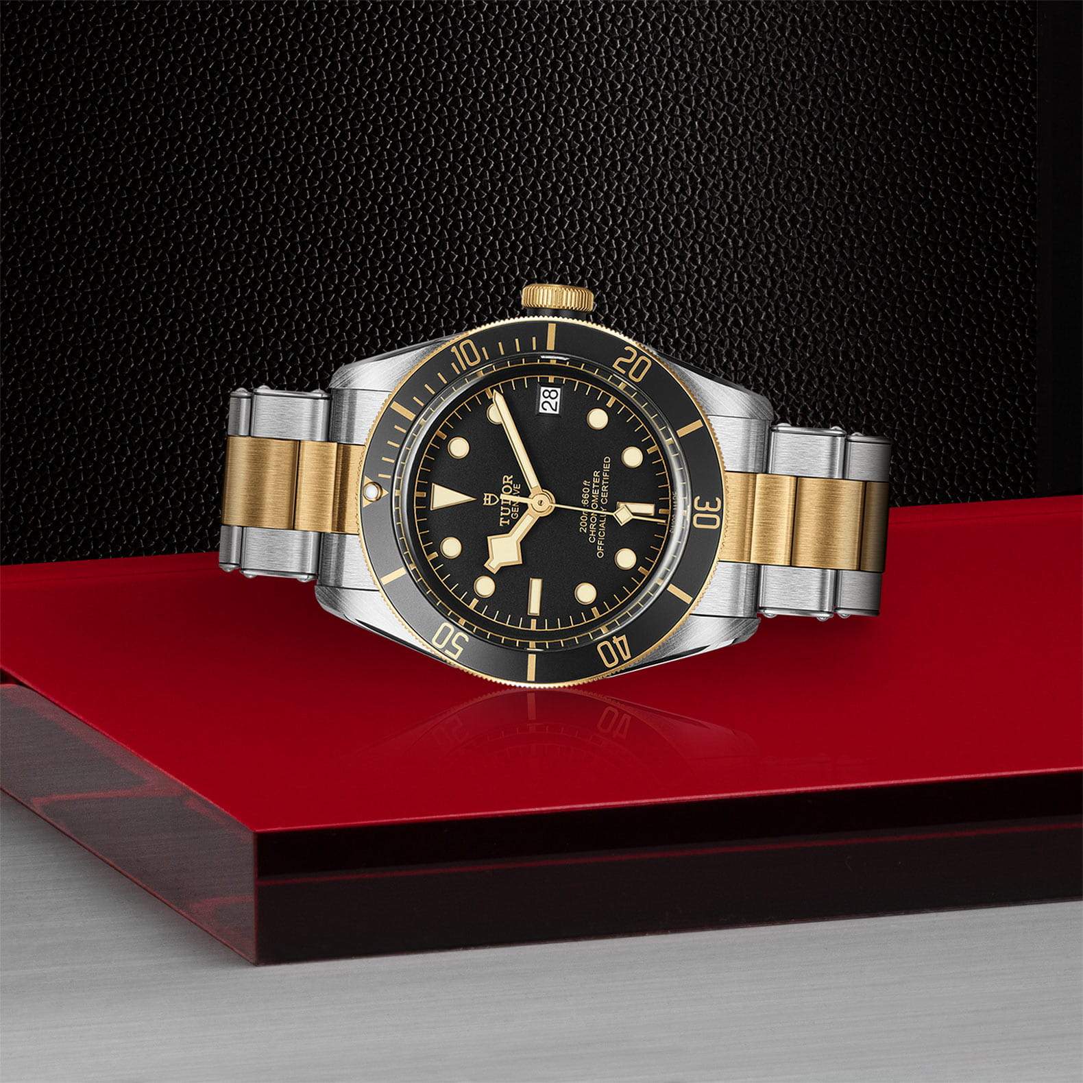 正規販売】BLACK BAY S&G M79733N-0008 | TUDOR BOUTIQUE 渋谷